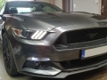 Mustang-5.0-09