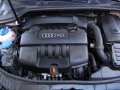 Audi A3 II 1.6 SQ32 03