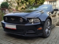 Mustang-5.0-II-03