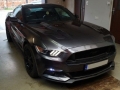 Mustang-5.0-01